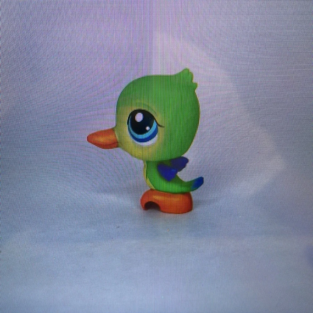 Colorful Bird Toy for Pets